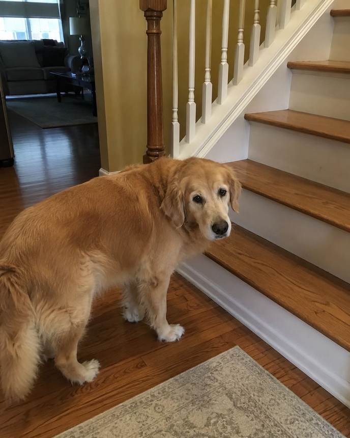 Maggie before, standing hesitantly at the bottom of the stairs